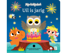 Uil is jarig (lichtjesboek)