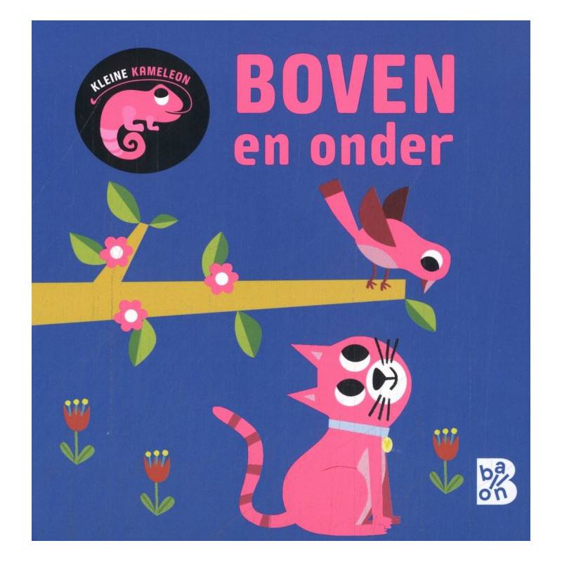 Kleine kameleon: Boven en onder
