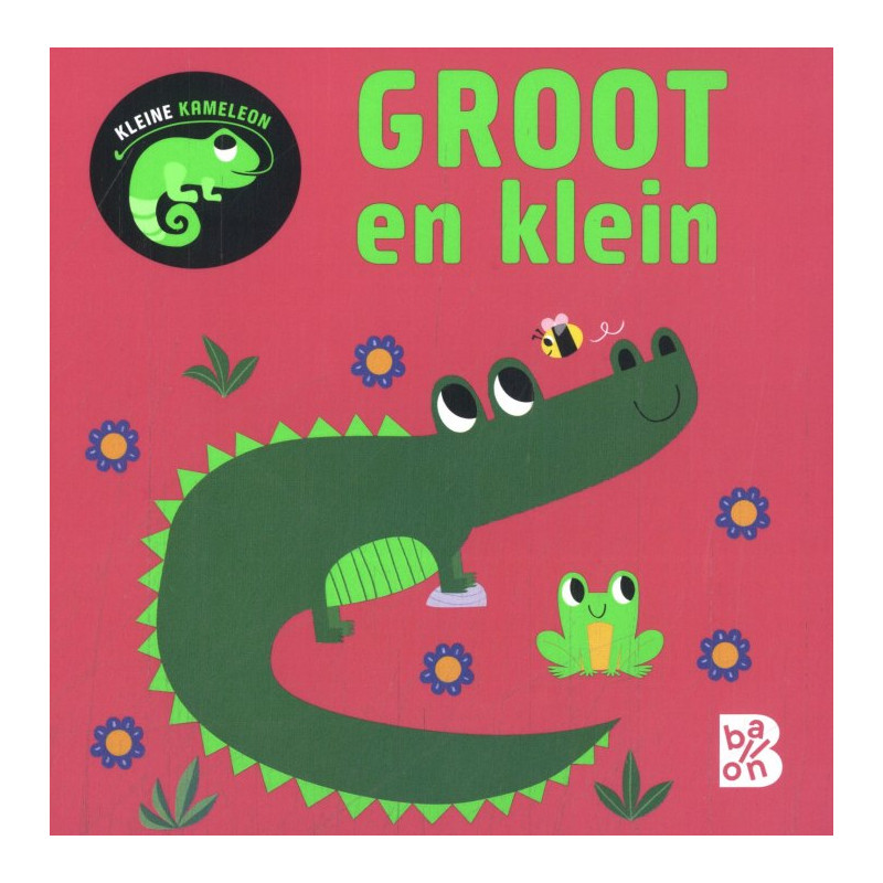 Kleine kameleon: Groot en klein
