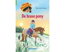 Manege de Zonnehoeve- De brave pony