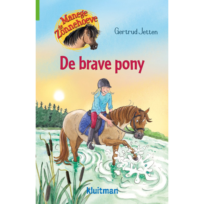 Manege de Zonnehoeve- De brave pony Manege de Zonnehoeve- De brave pony