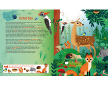 Zaklampboek - Speuren in de dierenwereld Zaklampboek - Speuren in de dierenwereld