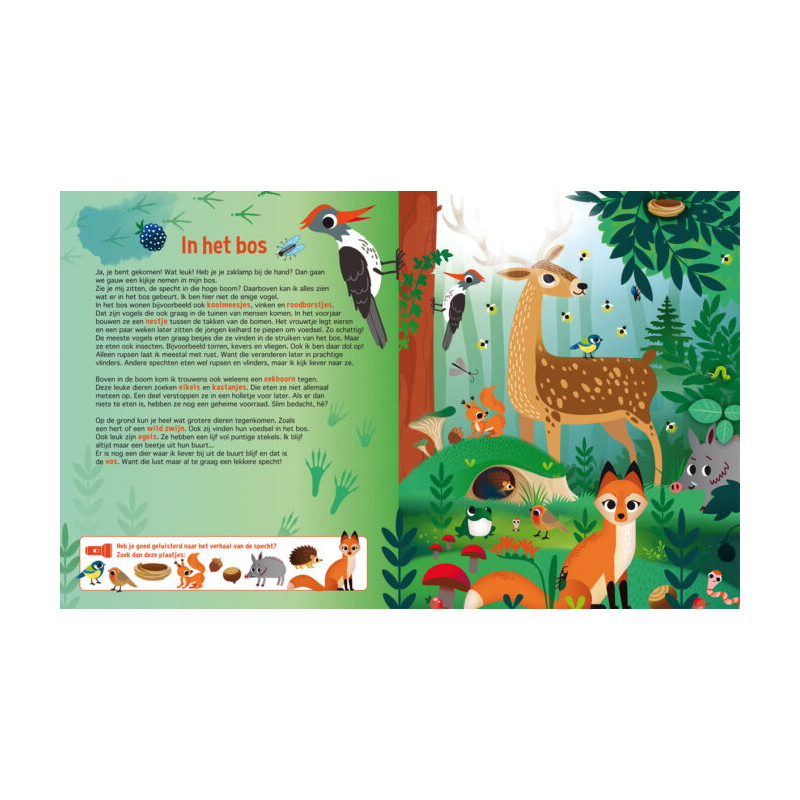 Zaklampboek - Speuren in de dierenwereld Zaklampboek - Speuren in de dierenwereld