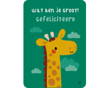 Postkaart Jungle - Wat ben je groot