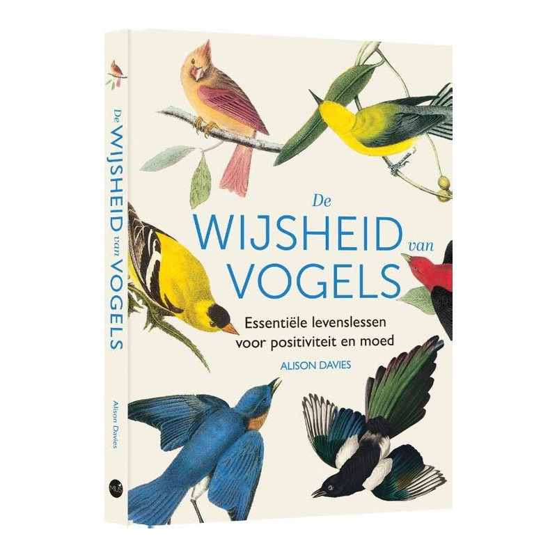 De wijsheid van vogels