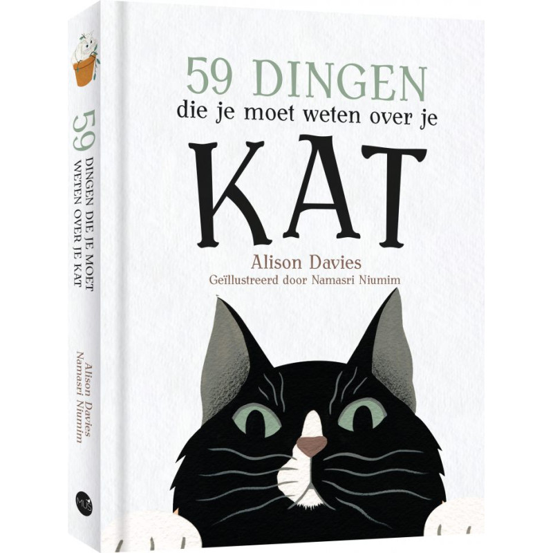 59 dingen die je moet weten over je kat