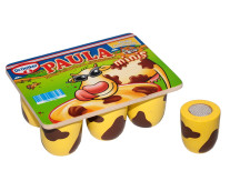Dr. Oetker Paula mini's (van hout)