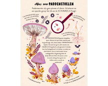 Een woud vol wonderen