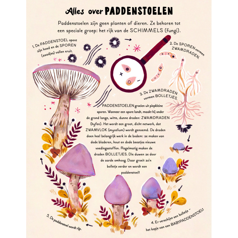 Een woud vol wonderen