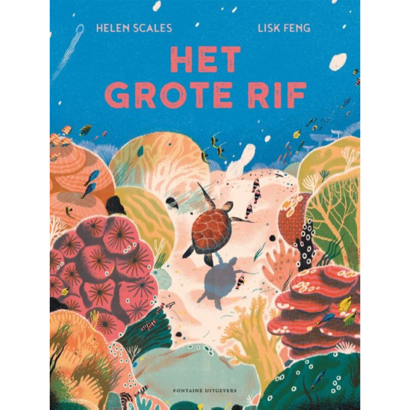 Het grote rif Het grote rif