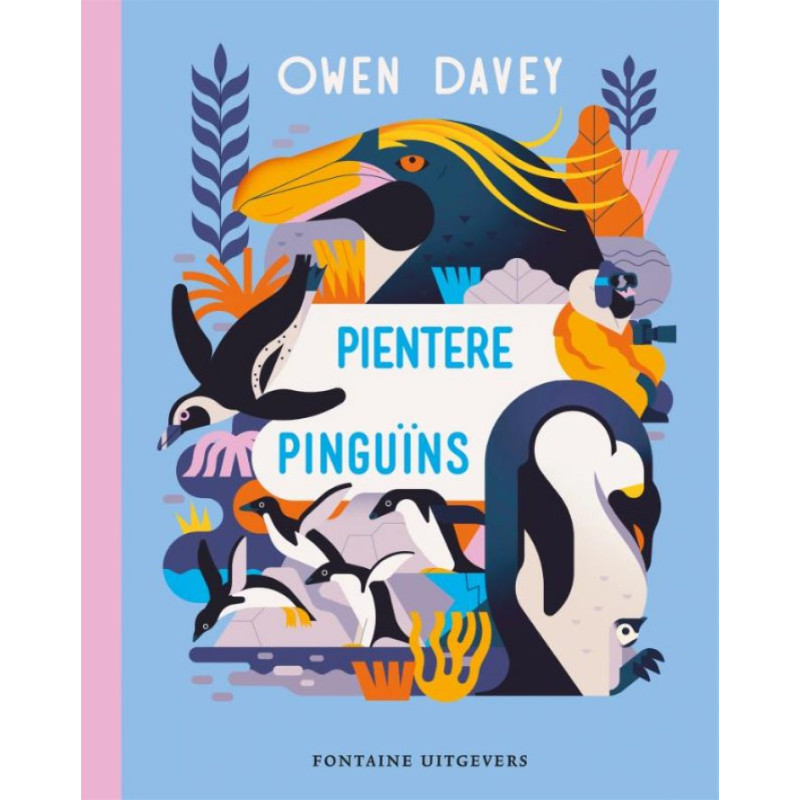 Pientere pinguïns Pientere pinguïns