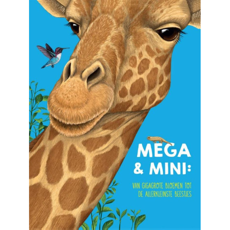 Mega & mini