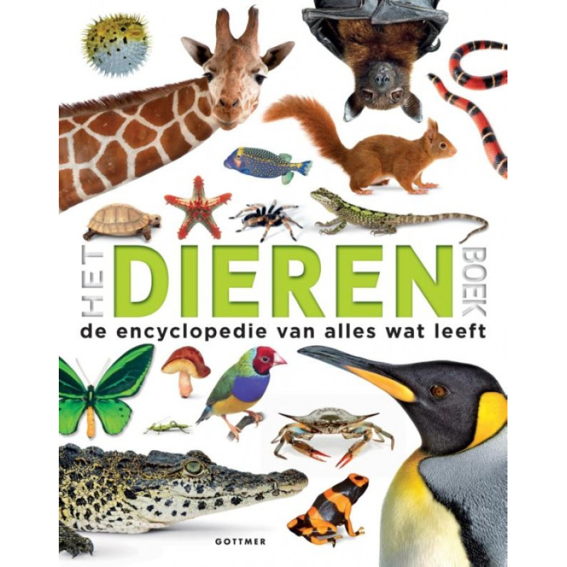 Het Dierenboek Het Dierenboek