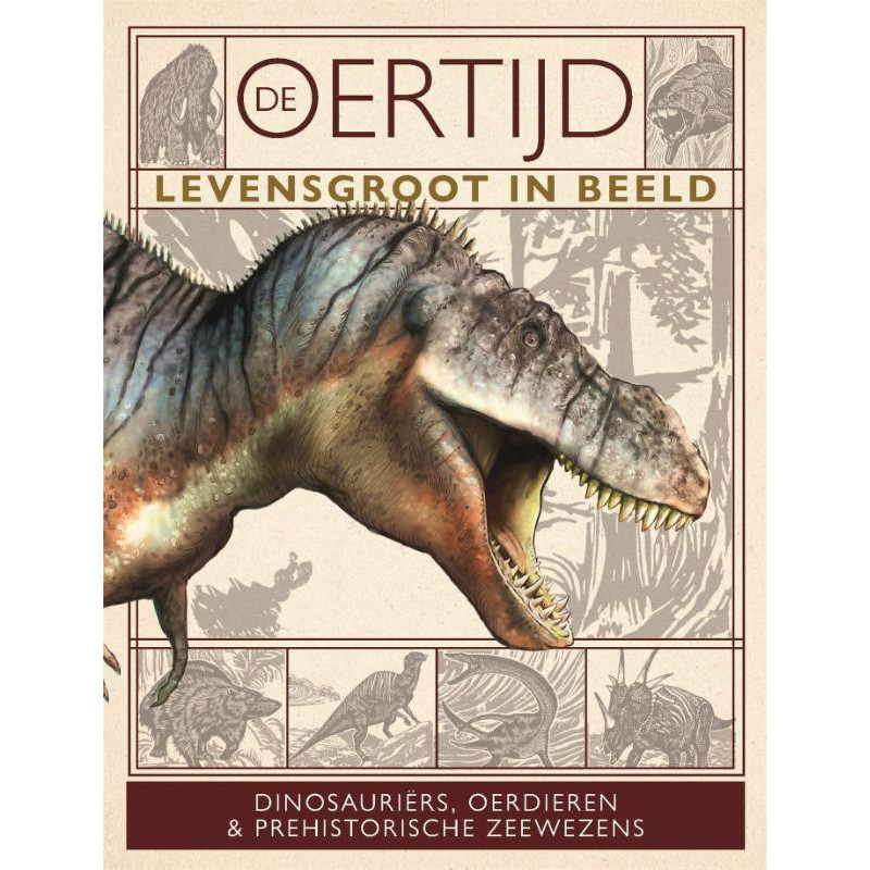 De oertijd levensgroot in beeld De oertijd levensgroot in beeld