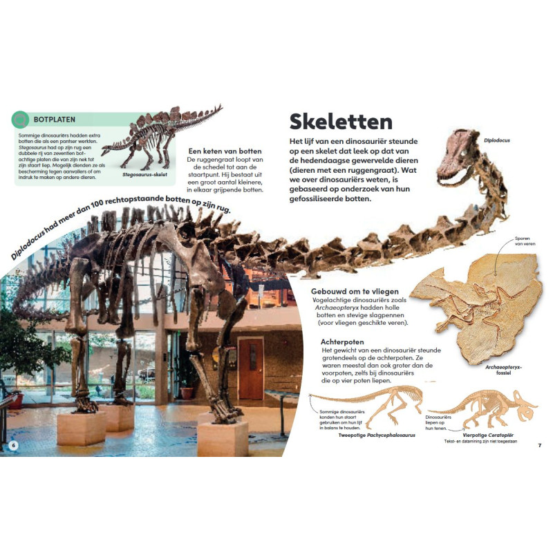 Het kleine boek over dinosauriërs Het kleine boek over dinosauriërs