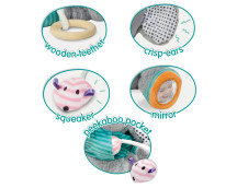 Olfi sensory olifant