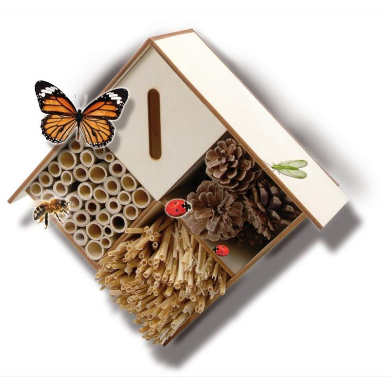 Explore - insectenhotel Explore - insectenhotel