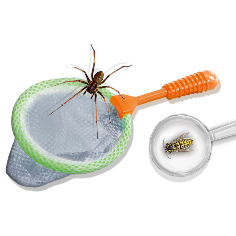 Explore - insecten explorer Explore - insecten explorer