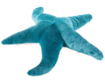 Zeester (32cm)