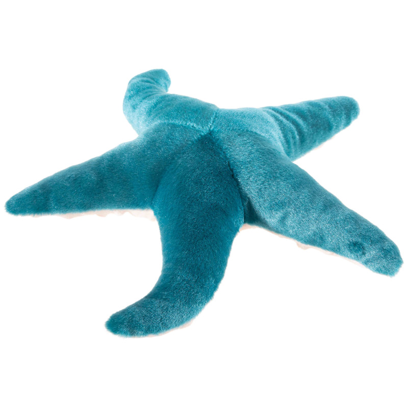 Zeester (32cm)