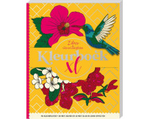 Kleurboek XL - Zilver & Glas in lood effecten