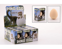 Schoencadeautjes