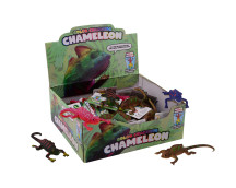 Schoencadeautjes