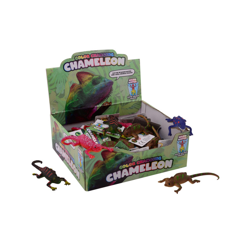 Schoencadeautjes Schoencadeautjes