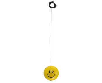 Bungeebal 'happy'
