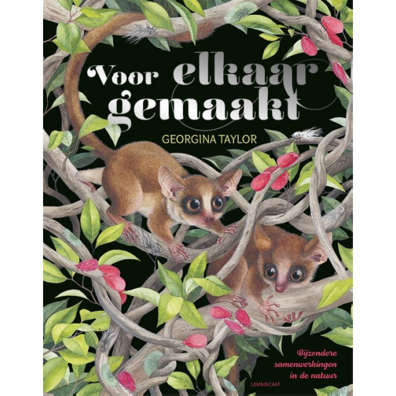 Voor elkaar gemaakt Voor elkaar gemaakt
