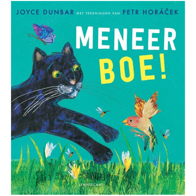 Meneer Boe! Meneer Boe!