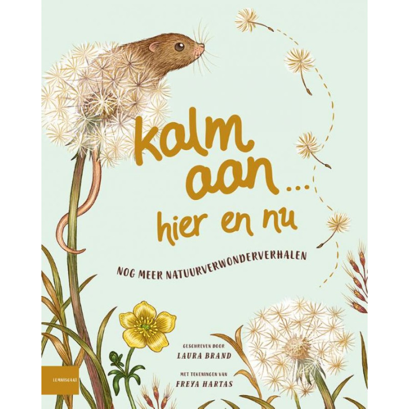 Kalm aan... Hier en nu Kalm aan... Hier en nu