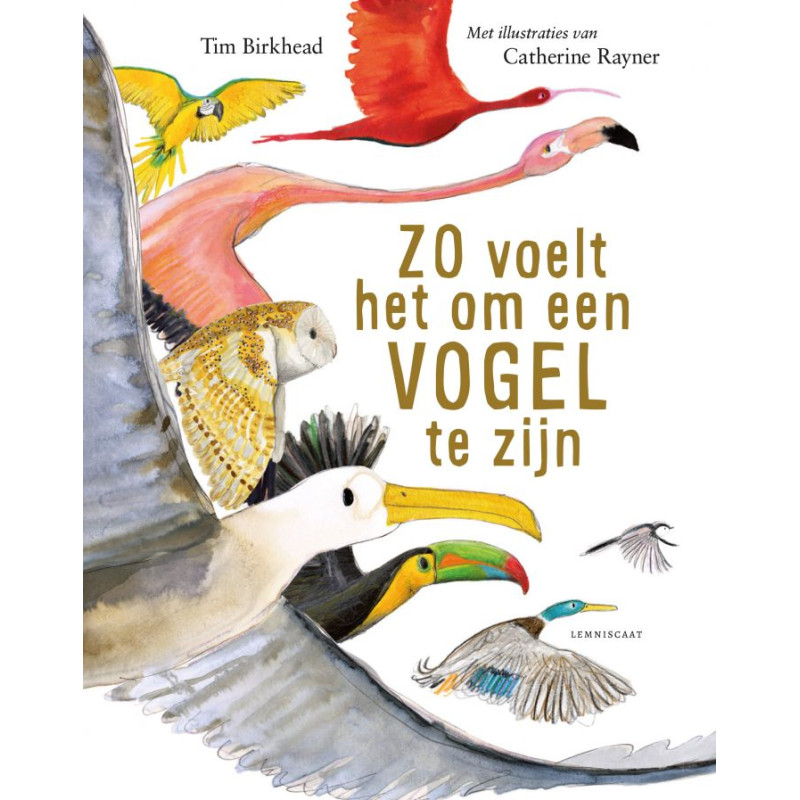 Zo voelt het om een vogel te zijn Zo voelt het om een vogel te zijn