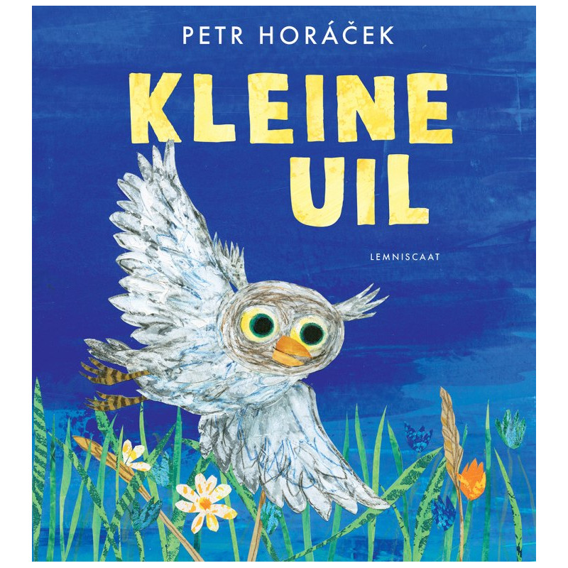 Kleine Uil Kleine Uil