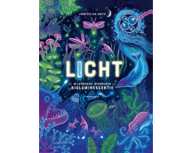 Licht