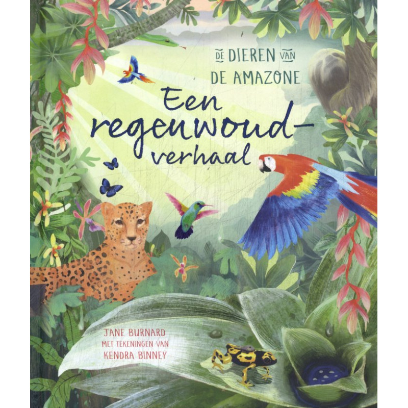 Een regenwoudverhaal Een regenwoudverhaal