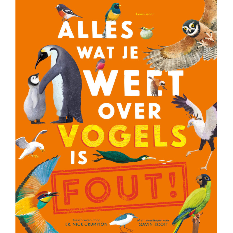 Alles wat je weet over vogels is fout!