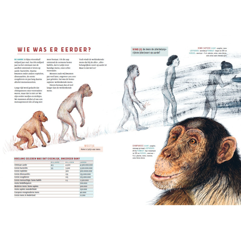 Mens en dier, van designerhond tot haaienbadpak