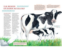 Mens en dier, van designerhond tot haaienbadpak