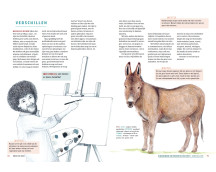 Mens en dier, van designerhond tot haaienbadpak