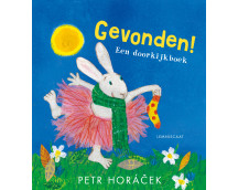 Gevonden!