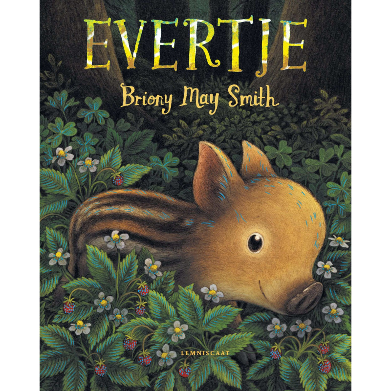 Evertje Evertje