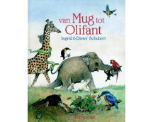 Van mug tot olifant