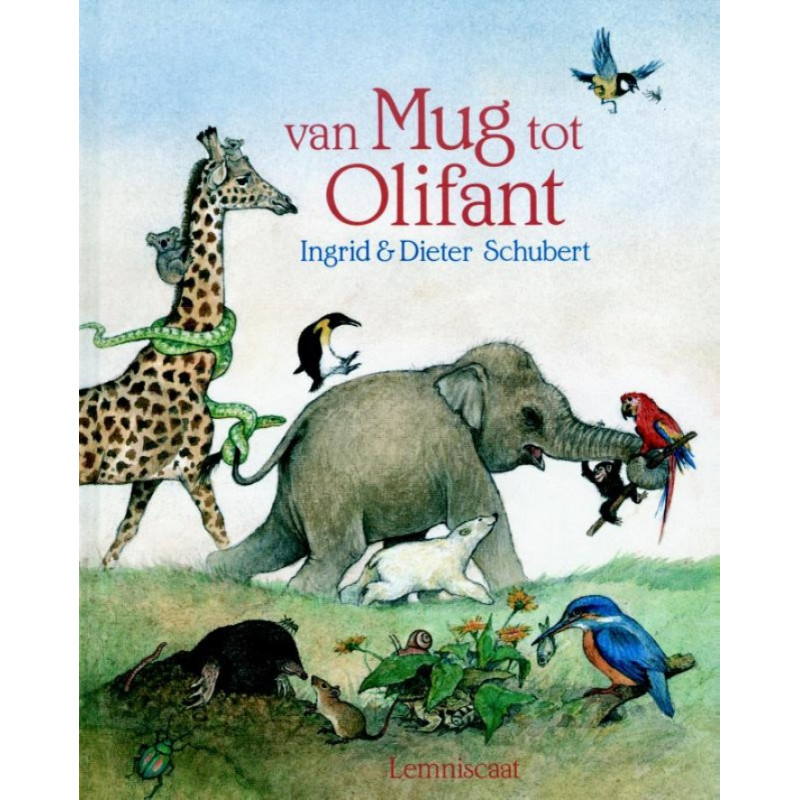 Van mug tot olifant Van mug tot olifant