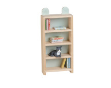 Set - Boekenkast met inhoud