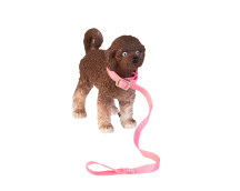 Set - Hond en puppy Set - Hond en puppy