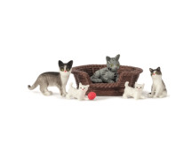 Set - Katten met accessoires