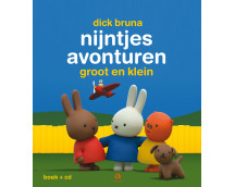 nijntjes avonturen groot en klein