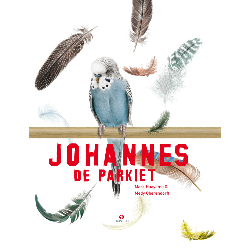 Johannes de Parkiet