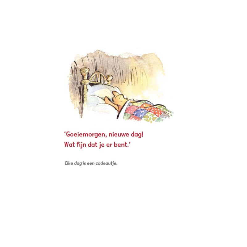 Winnie de Poeh: De kleine dingen van het leven. Reflecties uit het Honderd Bunderbos Winnie de Poeh: De kleine dingen van het leven. Reflecties uit het Honderd Bunderbos